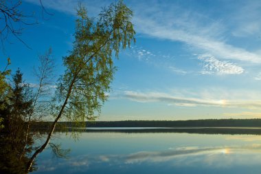 Dawn Gölü sessiz su yüzey üzerinde. Sabah mavi gökyüzü, yeşil ağaçlar şafak güneş tarafından aydınlatılmış kıyısında ağaç bunlar.