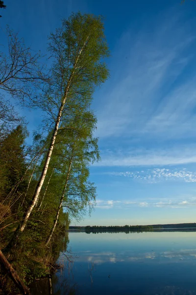 Morgendämmerung Über Der Ruhigen Wasseroberfläche Des Sees Morgenblauer Himmel Ufer — Stockfoto