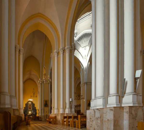 Moskva Ryssland Juli 2018 Domkyrkan Den Obefläckade Avlelsen Den Välsignade — Stockfoto