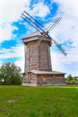 Yeşil ciğeri üzerinde eski ahşap fırıldak