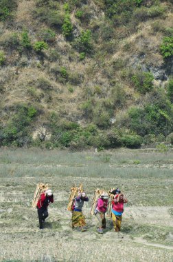 Nepal köylü kadın ağır günlükleri taşımak