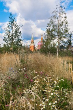 Çayır çiçek ve genç ağaç arka planda Moskova Kremlin ile. Rusya Moskova