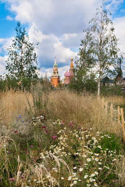 Wiese Mit Blumen Und Jungen Birken Hintergrund Der Moskauer Kreml — Stockfoto