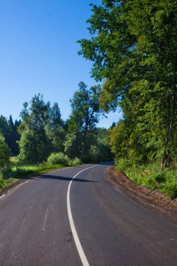 Bir asfalt yol yakın çekim yeşil bir ormanda. Yolun dönüşü önce sağlam bir beyaz çizgi.