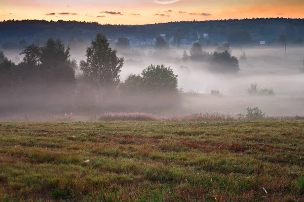 Morgen Einem Leicht Abfallenden Nebeltal Vordergrund Ein Feld Dann Bäume — Stockfoto