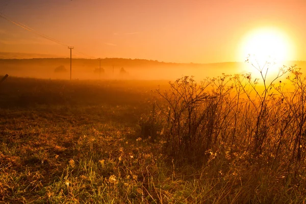 Morgendämmerung Die Heiße Sonne Geht Über Dem Feld Auf Stromleitung — Stockfoto