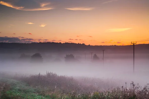 Paisaje rural, cables eléctricos entran en la niebla rosa, el amanecer — Foto de Stock
