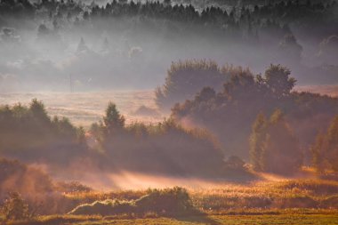 Sis alan üzerinde yükselir, yırtık parçaları uzağa rüzgarla taşınır, Güneş siste arka sert bir orman yok eder.