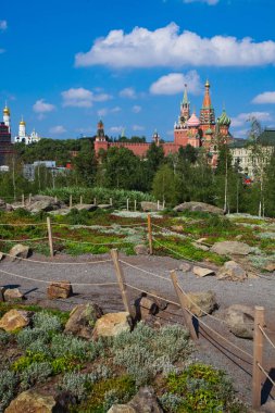 Moskova Kremlin ve yolun taşları arasında. Moskova Kremlin arka planda taşlar ve Kuzey bitki örtüsü. Moskova Parkı Zaryadye.