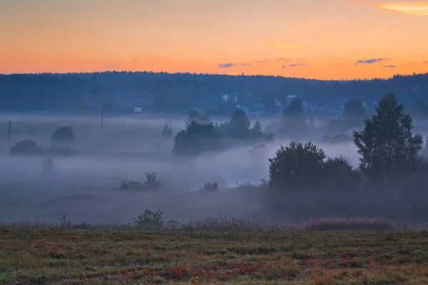 Rosafarbener Morgenhimmel Und Blauer Nebel Über Russischen Feldern Moskauer Gebiet — Stockfoto