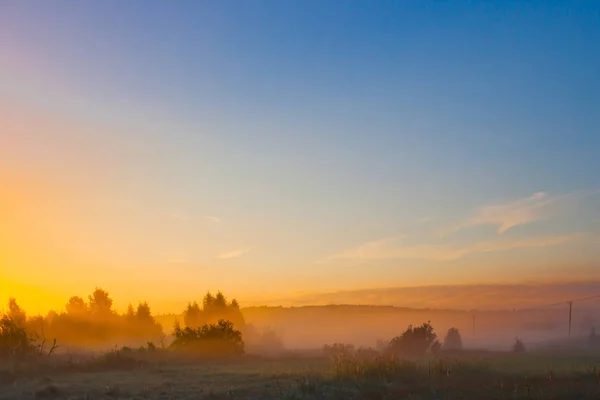Ein Großer Blauer Morgenhimmel Über Einem Feld Das Mit Gelbem — Stockfoto