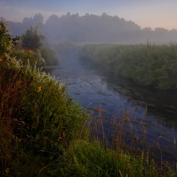 Χλόη Και Ένα Ήσυχο Ποτάμι Αργότερα Καλοκαίρι — Φωτογραφία Αρχείου