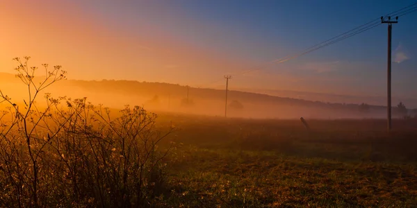 Niebla Campo Junto Los Postes Con Cables Niebla Brillante Naranja — Foto de Stock