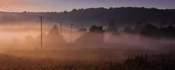 Neblige Morgendämmerung Die Landschaft Drähte Masten Bilden Eine Linie Das — Stockfoto