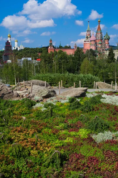 Moskauer Kreml Und Bergvegetation Moskauer Kreml Vor Dem Hintergrund Von — Stockfoto