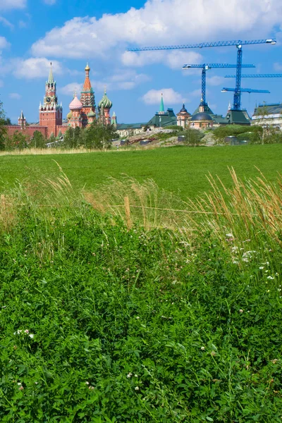 Feldblumen Hintergrund Moskauer Kreml Und Kräne Ein Symbol Der Konstruktion — Stockfoto