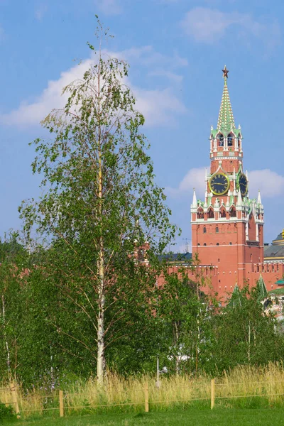 Kreml Und Birke Der Rote Spasskaja Turm Des Moskauer Kreml — Stockfoto