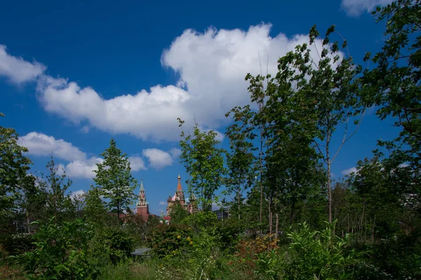 Foresta Russa Cielo Blu Cremlino Mosca Visibile Tra Rami Verdi — Foto Stock
