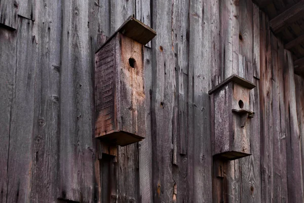 Birdhouse Stare Ściany Domu Dziennika — Zdjęcie stockowe