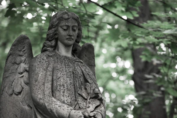 Smutný Anděl Hrobky Století Německé Zavedených Města Moskva — Stock fotografie