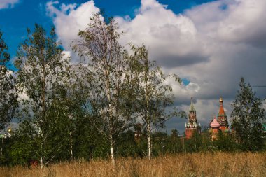 Moskova Kremlin ağaç ve sarı çayır çimen, doğa Rusya'nın yanında. Rusya Moskova