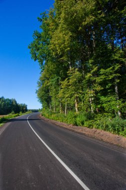Bir asfalt yol yakın çekim yeşil bir ormanda. Yolun dönüşü önce sağlam bir beyaz çizgi.