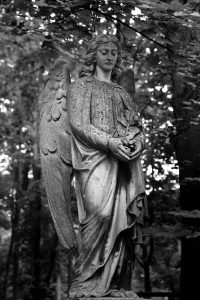 Sorrowful Angel Tomb 19Th Century German Introduced City Moscow Mourning — Stock Photo, Image