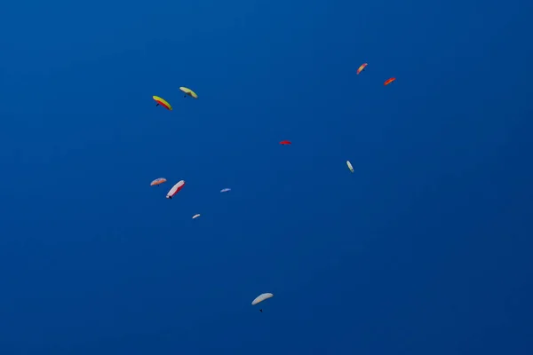 天空中的一群 Parapalons 蓝色天空中的多色翅膀形成了心中的身影 — 图库照片