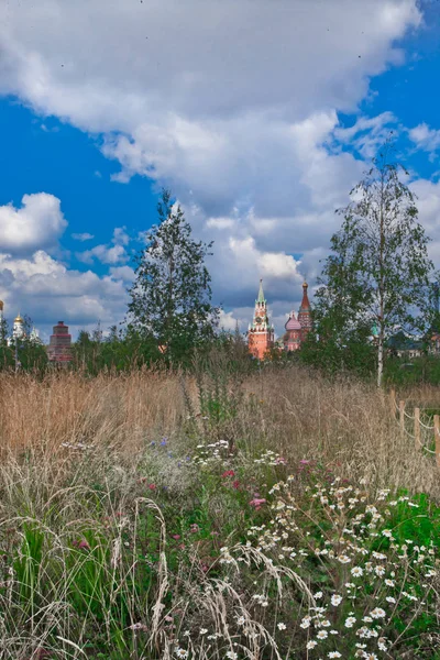Campo Com Flores Kremlin Moscou Torre Resgate Símbolos Rússia — Fotografia de Stock