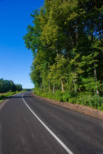 Bir asfalt yol yakın çekim yeşil bir ormanda. Yolun dönüşü önce sağlam bir beyaz çizgi.