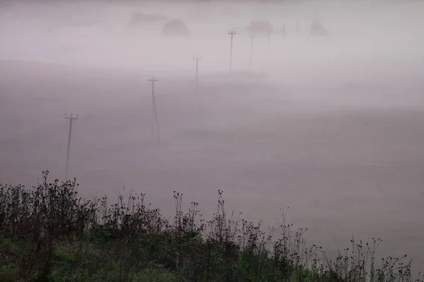 The fog covered the field, the poles stick out. A misty landscape in the early morning. Russia,