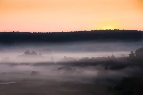 Foggy Vallée Couverte Brouillard Sous Ciel Rose Paysage Brumeux Tôt — Photo