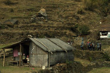 Kindergarten.Trekking Annapurna temel kamp, Nepal.