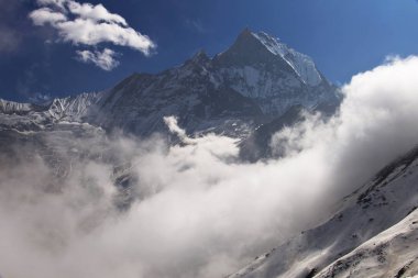 Annapurna temel kamp, Nepal için doğa yürüyüşü.