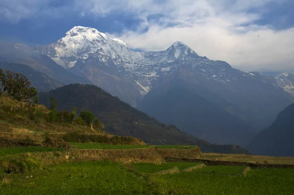 Green meadow and mountains. Trekking to Annapurna Base Camp, Nepal.