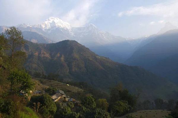 Pics Enneigés Collines Forestières Trekking Camp Base Annapurna Népal — Photo