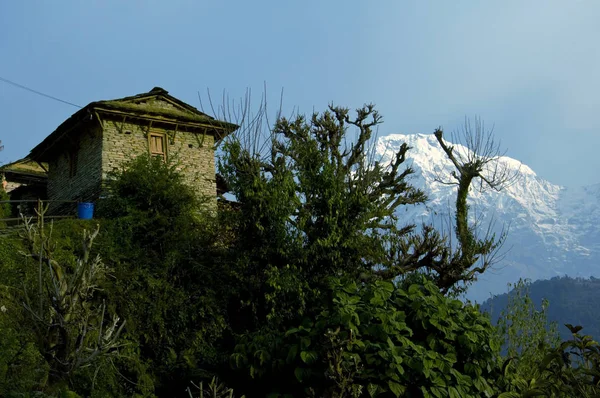 Ośnieżone Szczyty Nepalska House Trekking Bazy Annapurna Camp Nepal — Zdjęcie stockowe