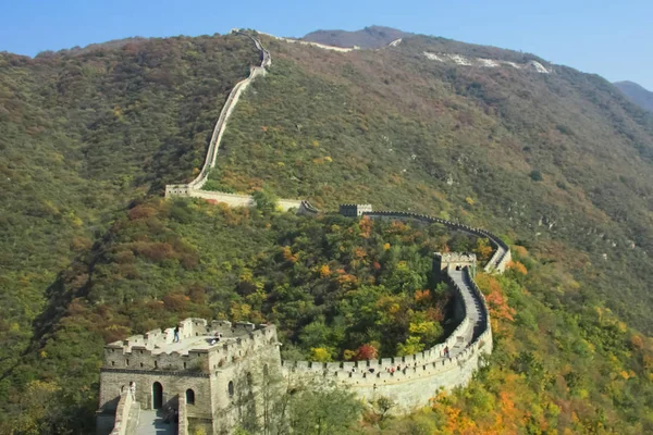 Большая Китайская Стена Среди Гор Покрытая Осенним Лесом Участок Великой — стоковое фото