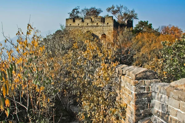 Tower Abandoned Unreleased Site Wallace Chinese Wall Autumn Plot Mutianyu — Stock Photo, Image