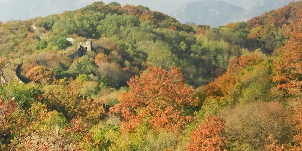 Unconstructed Wall Mountains Covered Autumn Forest Plot Mutianyu Great Wall — Stock Photo, Image