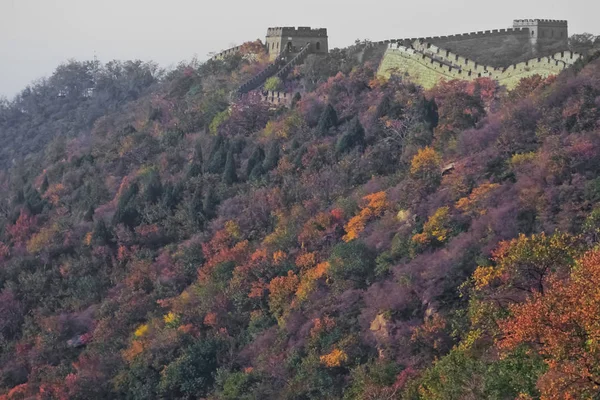 Une Grande Muraille Chinoise Parmi Les Montagnes Couvertes Forêt Automne — Photo