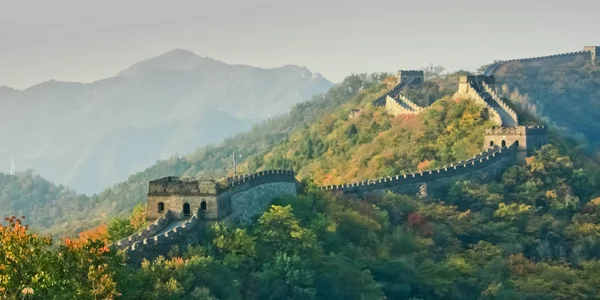 A great Chinese wall among the mountains covered with autumn forest. Plot Mutianyu Great Wall of China