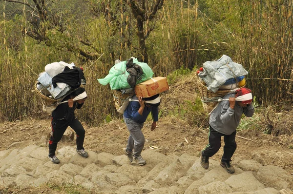 Los Nepaleses Son Porteadores Sherpas Trekking Campamento Base Annapurna Nepal — Foto de Stock