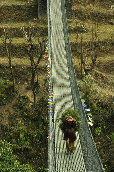 Hangbrug Sterke Nepalese Grootmoeder Trekking Naar Annapurna Base Camp Nepal — Stockfoto