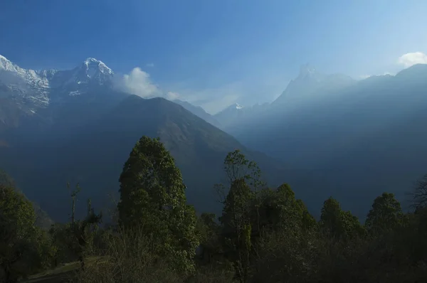 緑の木々 と雪に覆われた山です ネパール アンナプルナ ベース キャンプへのトレッキング — ストック写真