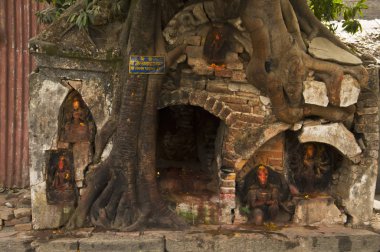 Kutsal ağacı içinde Hindu sunak