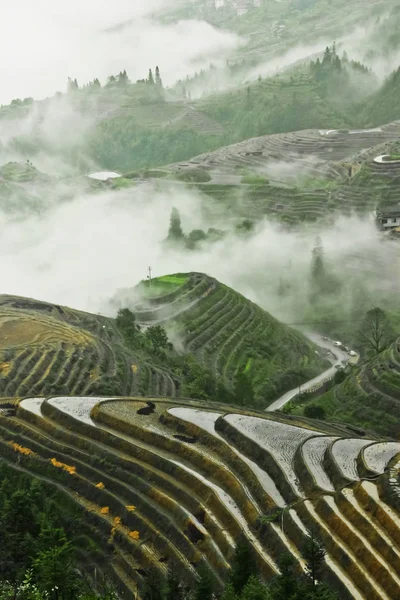 Hermosa Terraza Arroz China Misty Paisaje Otoñal Con Terrazas Arroz —  Fotos de Stock