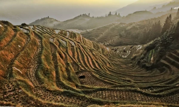Terrazas Otoño Atardecer Paisaje Otoñal Brumoso Con Terrazas Arroz China —  Fotos de Stock