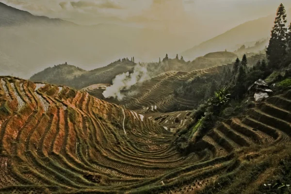 Βράδυ Φθινοπωρινές Καλλιέργειες Ρυζιού Misty Φθινοπωρινό Τοπίο Ρύζι Βεράντες Γιανγκσούο — Φωτογραφία Αρχείου