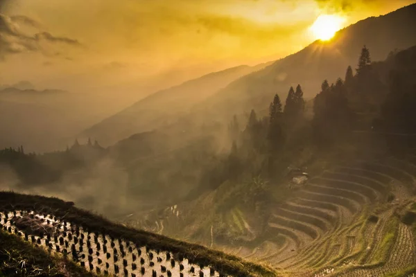 Ήλιος Και Κίτρινες Ομίχλης Misty Φθινοπωρινό Τοπίο Ρύζι Βεράντες Γιανγκσούο — Φωτογραφία Αρχείου